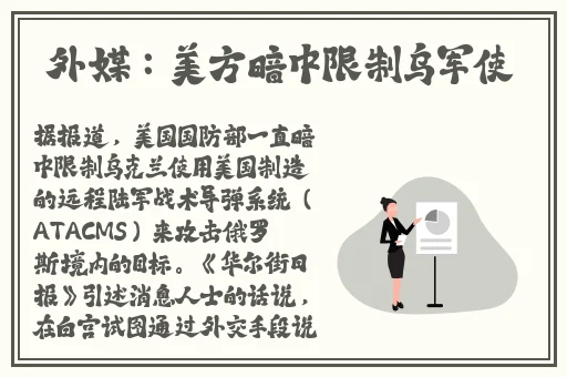 另一类Zoom孕妇